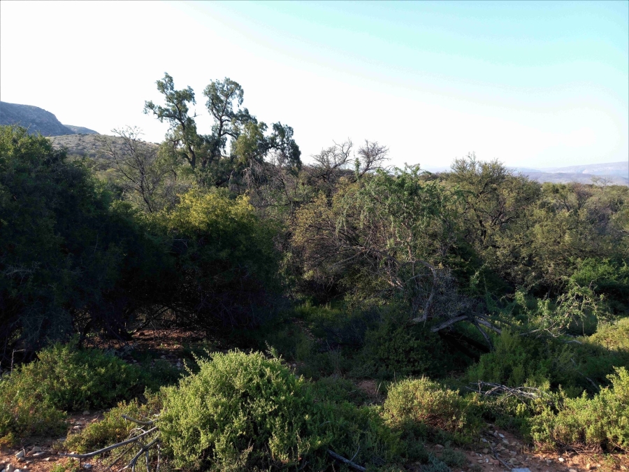 Commercial Property for Sale in Uniondale Rural Western Cape